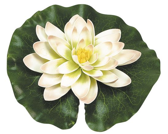 Nenúfar decorativo para estanque - Nenúfar blanco con gotas - Ø 14 cm.