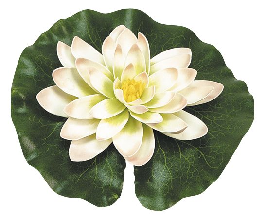 Nenúfar decorativo para estanque - Nenúfar amarillo con gotas - Ø 14 cm.