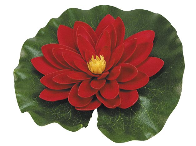 Nenúfar decorativo para estanque - Nenúfar rojo con gotas - Ø 14 cm.