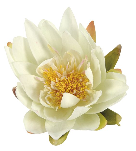 Nenúfar decorativo para estanque - Nenúfares blanco - Ø 16 cm.