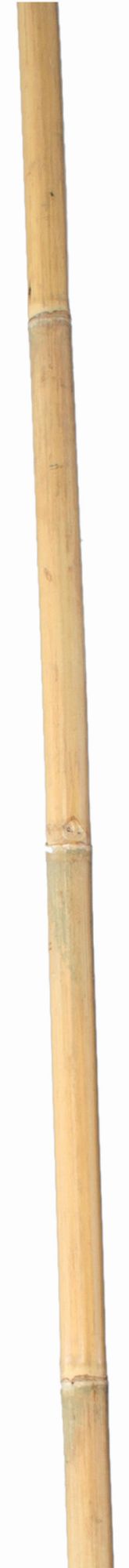Tutores de Bambú Natural - 60 cm. - Ø 6-8 mm. - 10 unidades | 6040200