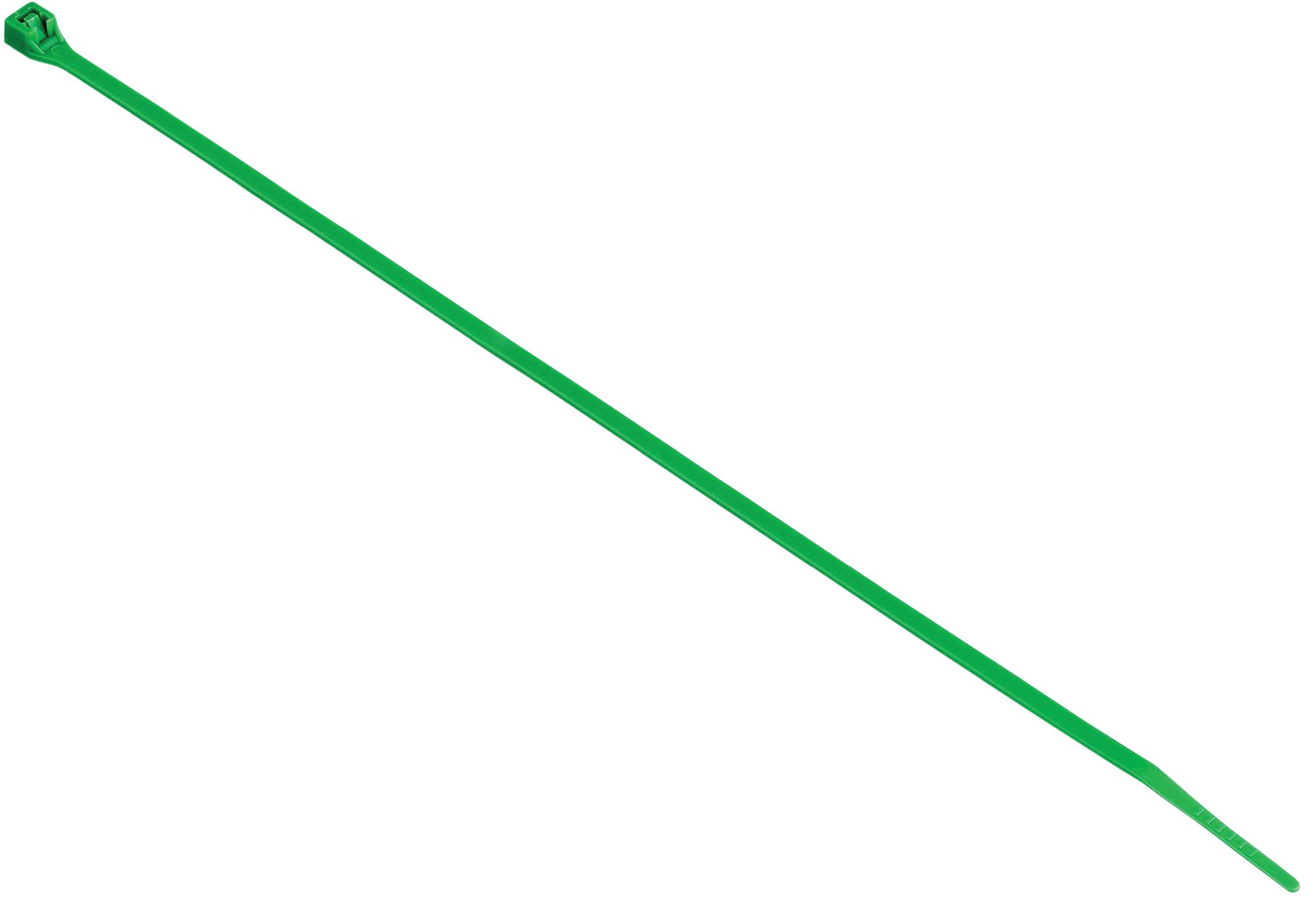 Bridas de sujeción - 25 cm. - Verde | B2147