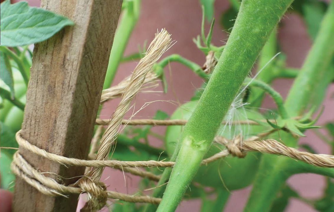 Cuerda “Sisal” - 200 m. | B2184
