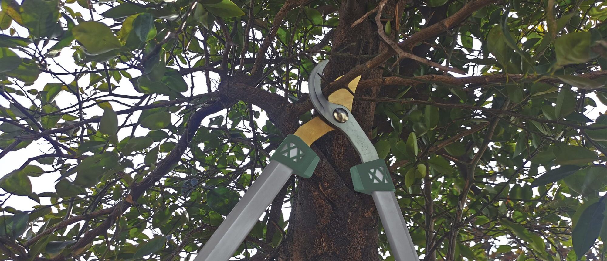 Herramientas